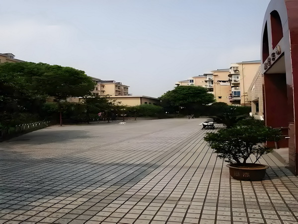 应届生深圳积分落户_2025暑期档大盘票房连续10天破亿 房连续10就自己下她俩厨炒菜